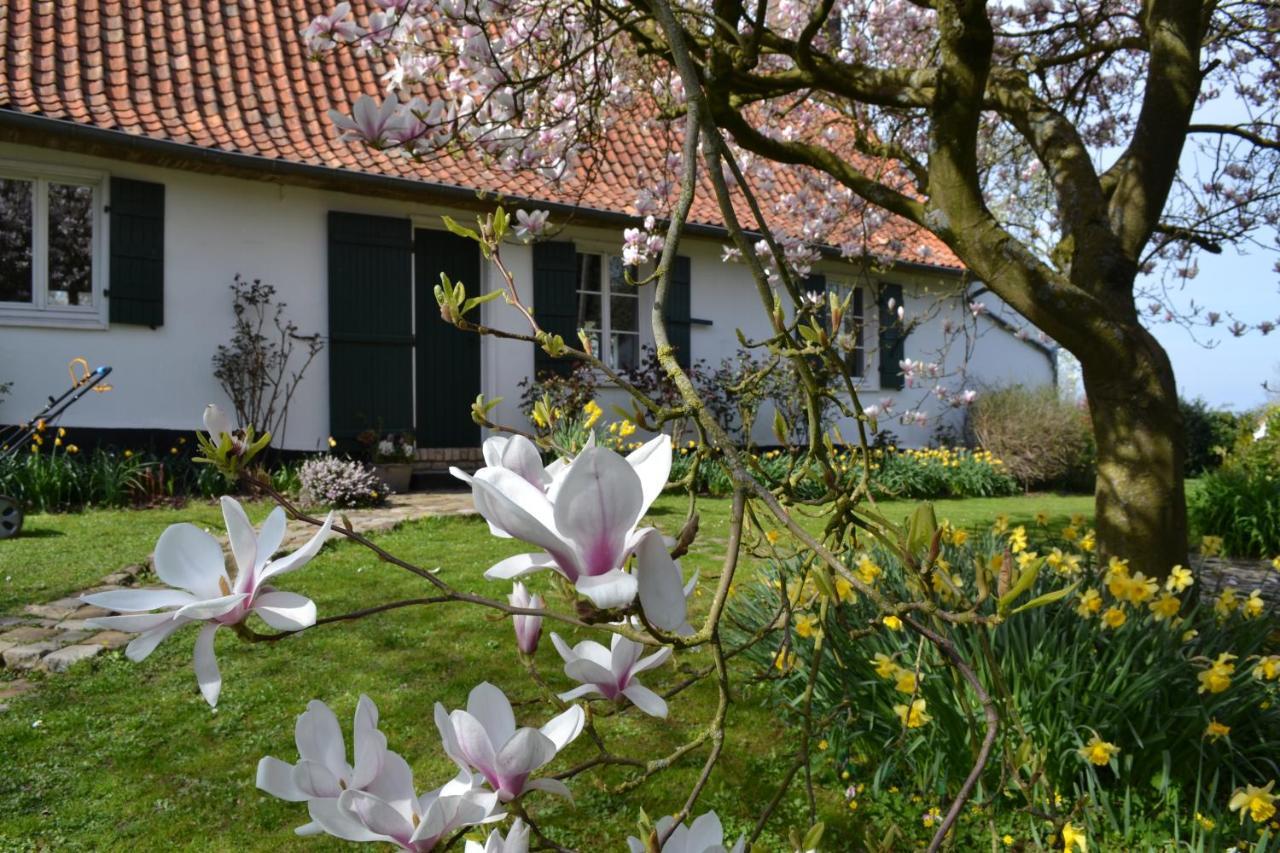 La Longere D'Ecottes Bed & Breakfast Licques Dış mekan fotoğraf