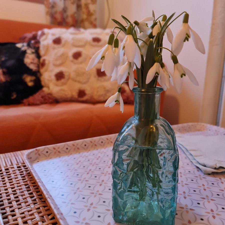 La Longere D'Ecottes Bed & Breakfast Licques Dış mekan fotoğraf